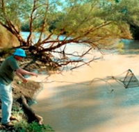 Charleville - Ward River Fishing Spot - Rental Cars