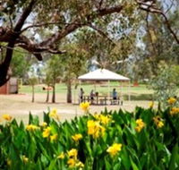 Charleville - Graham Andrews Parklands - Rental Cars
