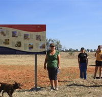 Coolibah Walk - Rental Cars