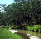 Salvator Rosa Section - Carnarvon National Park - Rental Cars