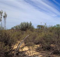 Wyperfeld National Park - Rental Cars