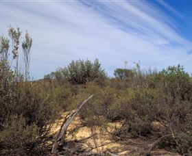 Wyperfeld National Park - Rental Cars 0