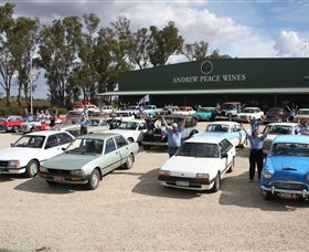 Andrew Peace Wines - Rental Cars 4