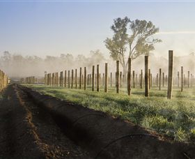 Andrew Peace Wines - Rental Cars 5