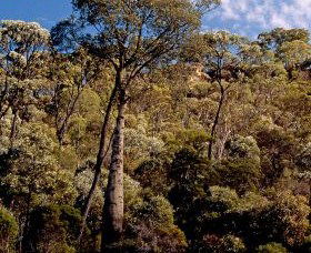 Ka Ka Mundi, Carnarvon National Park - Rental Cars 0