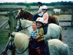 Limestone Coast Horseriding - Rental Cars 1