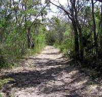Lanky's Walk - Rental Cars