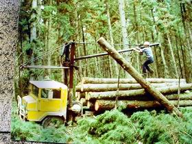 Nangwarry Forestry And Logging Museum - Rental Cars 3