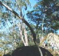 Dergholm State Park - Rental Cars