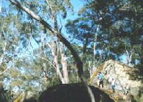 Dergholm State Park - Rental Cars 0