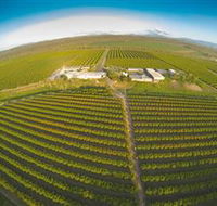 Golden Drop Winery - Rental Cars