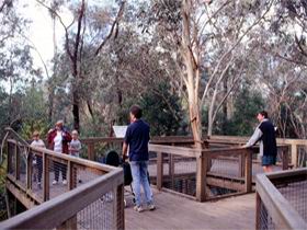 Valley Lake Conservation Park - Rental Cars 1