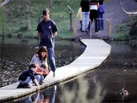 Valley Lake Conservation Park - Rental Cars 2