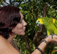 Birdworld Kuranda - Rental Cars
