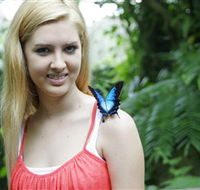 Australian Butterfly Sanctuary - Rental Cars