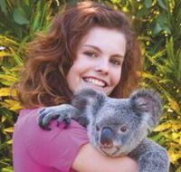 Kuranda Koala Gardens - Rental Cars