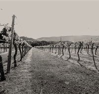 Halls Gap Estate - Rental Cars