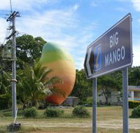 Big Mango - Rental Cars