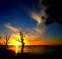 Lake Cowal - Rental Cars