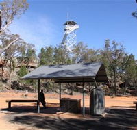 Pilliga Forest Lookout Tower - Rental Cars