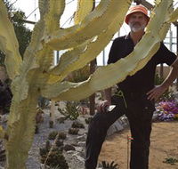 Cactus Country - Rental Cars