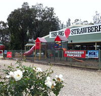 The Big Strawberry - Rental Cars