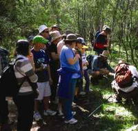 Warrumbungle National Park Discovery Program - Rental Cars