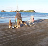 Cape Hillsborough National Park - Rental Cars