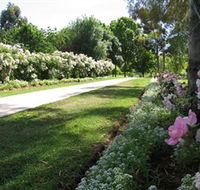Barooga Botanical Gardens - Rental Cars