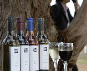 Woolaway Wines - Rental Cars 3