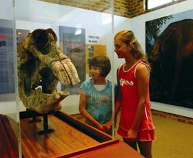 Australian Museum Diprotodon Exhibition - Rental Cars 0