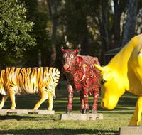 Greater Shepparton's Moooving Art - Rental Cars