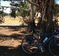 Murchison Rail Trail - Rental Cars