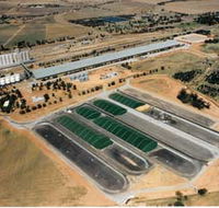 Co-operative Bulk Handling CBH Wheat Storage and Transfer Depot - Rental Cars