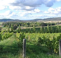Sassy Wines - Rental Cars