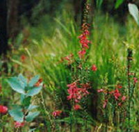 Enfield State Park - Rental Cars