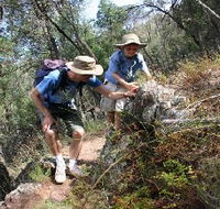 Mount Arthur Reserve - Rental Cars