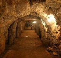 Wellington Caves and Phosphate Mine - Rental Cars