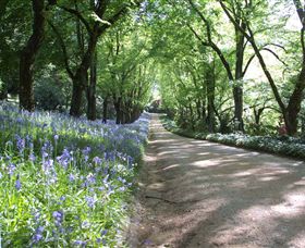 Duneira, Mt Macedon - Rental Cars 3