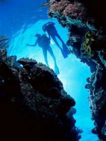 Caves And Canyons Dive Site - Rental Cars 0