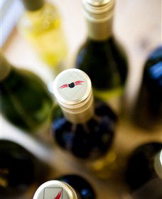 Charles Sturt University Winery Wagga Wagga - Rental Cars 2