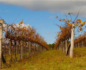 Charles Sturt University Winery Wagga Wagga - Rental Cars 3