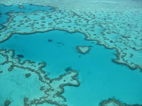 Heart Reef - Rental Cars 0