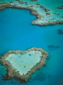 Heart Reef - Rental Cars 3