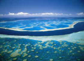 Hardy Reef - Rental Cars 0