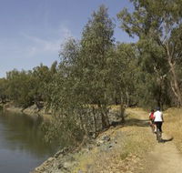 Wiradjuri Walking Track - Rental Cars