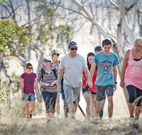Winton Wetlands Reserve - Rental Cars