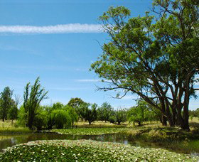 Burrumbuttock ACT Rental Cars