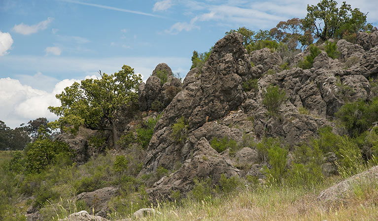 Lidster NSW Rental Cars