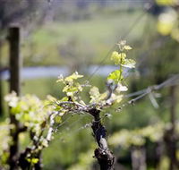 Lethbridge Wines - Rental Cars
